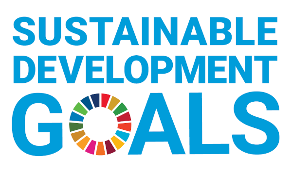 SDG Logo