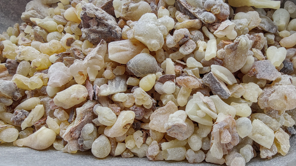 Boswellness B. carteri Gum Resin